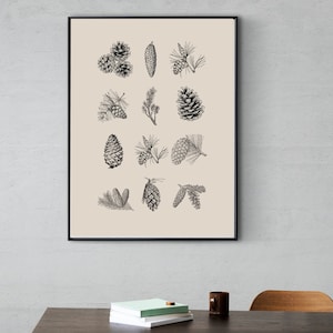 Pine Cone Print, Neutral color Art, Minimalist Wall Art, Nature Wall Art, Rustic Wall Decor, INSTANT PRINTABLE DOWLOAD, Pinecone Sketch