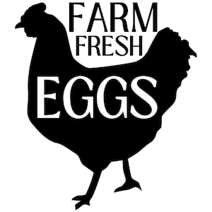 Farm Fresh Eggs