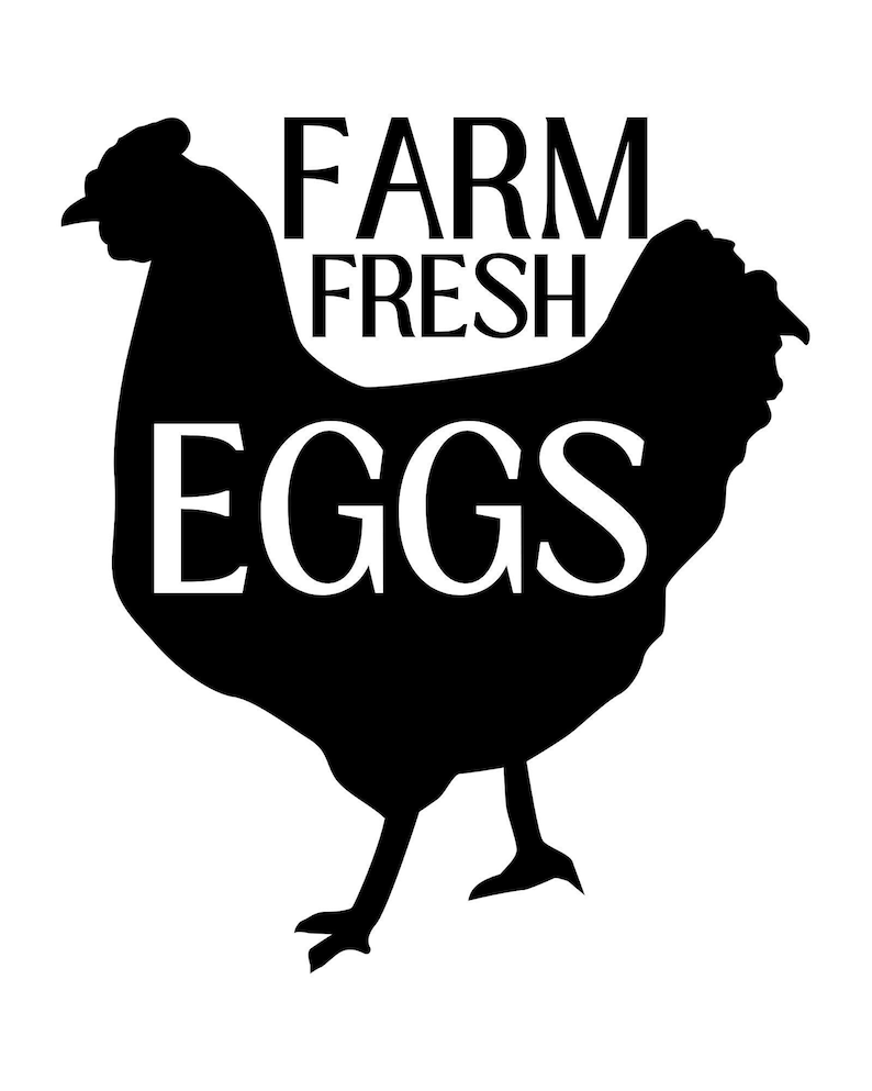 Farm Fresh Eggs Etsy