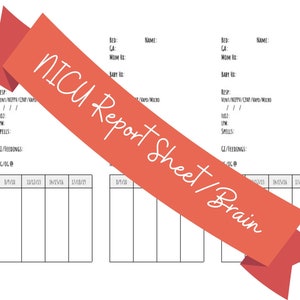 NICU Brain/Report Sheet (Day Shift)