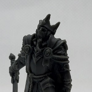 Custom Painted Undead Royal Lich Paladin/fighter/champion for DnD Pathfinder TTRPG
