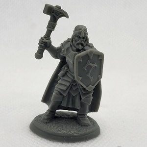 Custom Painted Miniature Humanoid Warrior/knight/fighter/paladin for DnD Pathfinder TTRPG