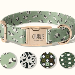 May include: A green dog collar with a panda bear pattern and a gold-colored buckle. The buckle is engraved with the name "Charlie" and a phone number. Four circular pattern samples are shown below the collar.