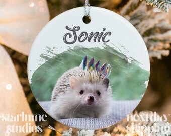 May include: A white ceramic ornament featuring a hedgehog with a colorful crown. The name "Sonic" is written above the hedgehog in a script font. The ornament has a green watercolor-style background.