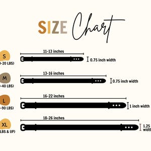 The image is a size chart that provides measurements for different belt widths in inches. It includes belts of various widths, such as 10-20 lbs, 13-16 inches, 16-22 inches, and 18-26 inches. The chart is designed to help customers determine the appropriate belt width based on their size.