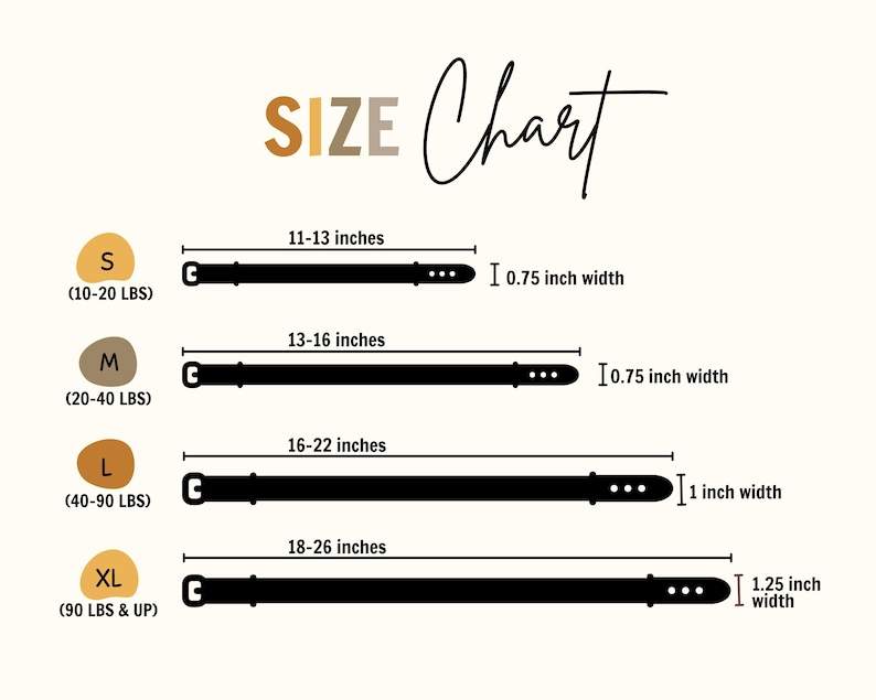 The image is a size chart that provides measurements for different belt widths in inches. It includes belts of various widths, such as 10-20 lbs, 13-16 inches, 16-22 inches, and 18-26 inches. The chart is designed to help customers determine the appropriate belt width based on their size.