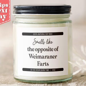 Collie Farts. Funny Collie Dog Mom, Dad Gift - Gift for Collie Owner - Candle C-653