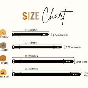 The image is a size chart that provides measurements for different belt widths in inches. It includes belts of various widths, such as 10-20 lbs, 13-16 inches, 16-22 inches, and 18-26 inches. The chart is designed to help customers determine the appropriate belt width based on their size.