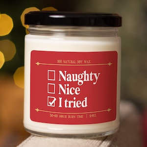 Naughty nice I tried funny christmas candle, christmas decor, christmas candles, funny christmas gifts, secret santa, holiday candle C-897