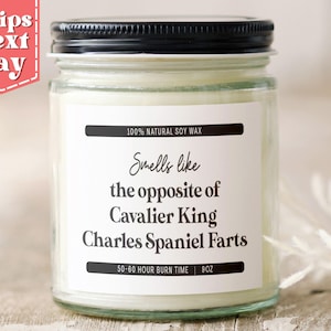 Cavalier King Charles Spaniel Farts. Funny Cavalier King Charles Dog Spaniel Dog Mom, Dad Gift - Candle C-626