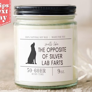 Smells Like the Opposite of Silver Lab Farts Funny Silver Lab Dog Mom, Dad Gift - Gift for Silver Lab Owner - Soy Wax Scented Candle C-253