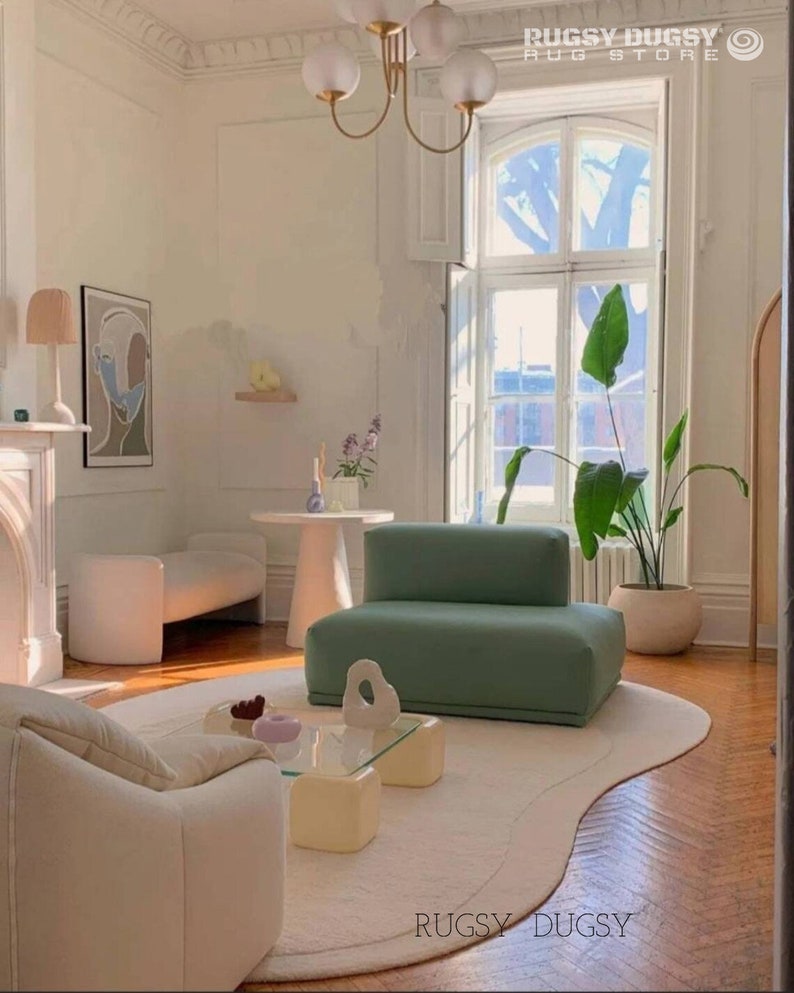 Oval Kidney Shaped Rug L Handtufted 100 Wool Area Rug for Interior