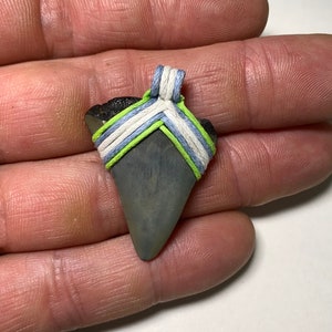 fossil great white shark tooth pendant necklace beach surfer handmade