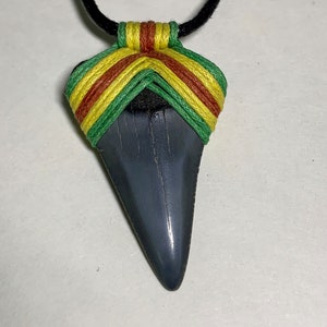 fossil great white tooth pendant necklace
