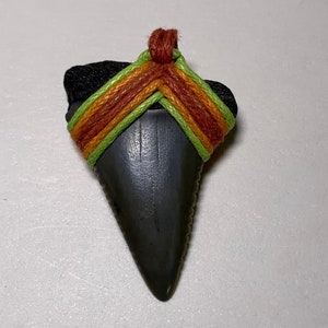 fossil great white shark tooth pendant necklace beach surfer handmade