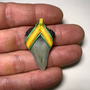 fossil great white shark tooth pendant necklace beach surfer handmade