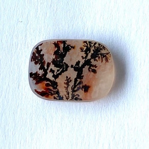 May include: A polished, rectangular gemstone with rounded edges. The stone features a cream-colored base with intricate, tree-like patterns in shades of black, brown, and reddish-brown. The patterns resemble a miniature landscape.