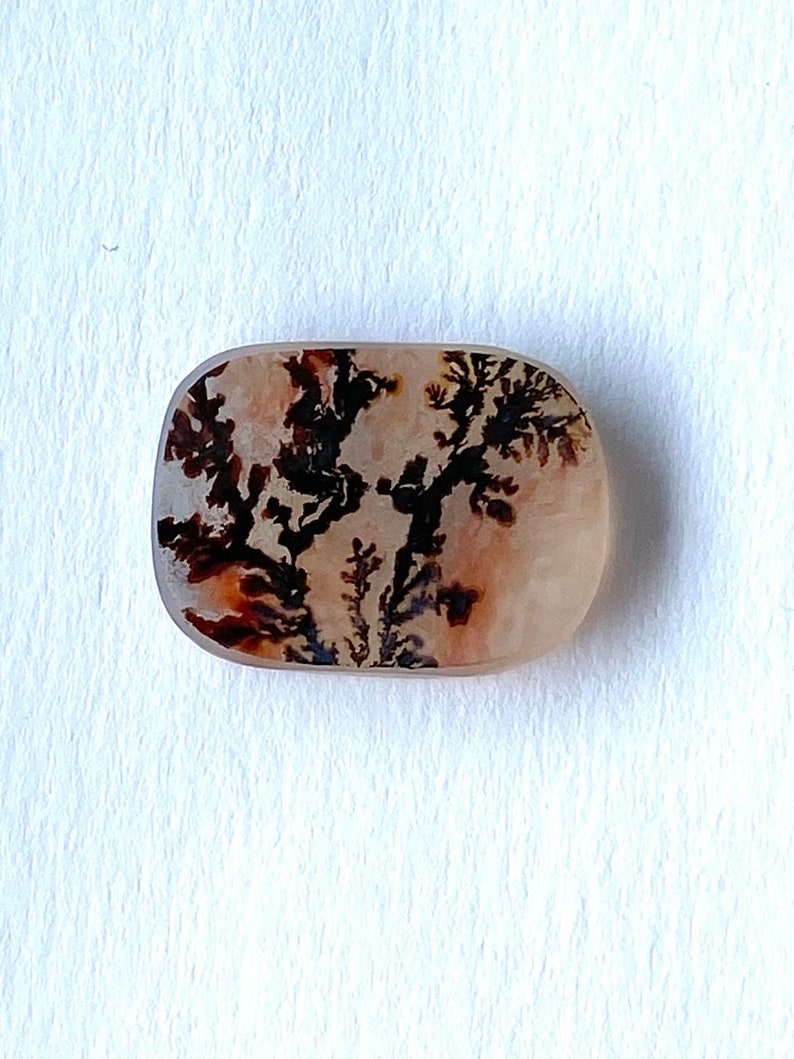 May include: A polished, rectangular gemstone with rounded edges. The stone features a cream-colored base with intricate, tree-like patterns in shades of black, brown, and reddish-brown. The patterns resemble a miniature landscape.