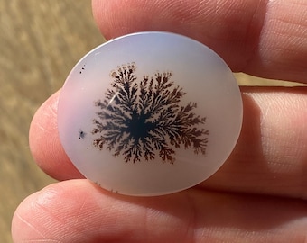 Dendritic Agate Oval Cabochon, Like a Piece of Coral! 28x25mm