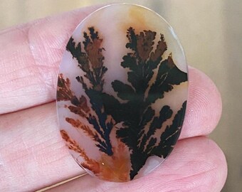 Dendritic Agate, Orange and Red Fall Scene, Oval Cabochon, 33x25 mm