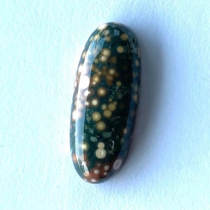 May include: A green, brown, and white oval-shaped ocean jasper cabochon with a polished surface.