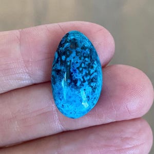 May include: A polished, oval-shaped gemstone with a vibrant blue hue, speckled with darker blue and black patterns. The stone is held in a hand, showcasing its smooth, glossy surface. This gemstone is likely used for jewelry or decorative purposes.