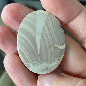 Willow Creek Jaspis, Malerischer Cabochon aus Idaho, 39 x 30 mm, Neutrale Farben