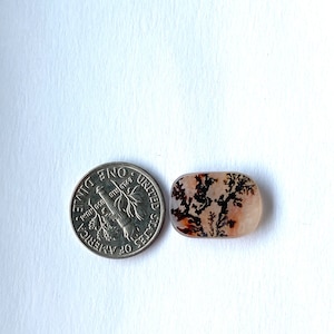 May include: A polished, rectangular gemstone with a dendritic pattern, next to a U.S. dime for size comparison. The gemstone features a cream-colored base with brown and black fern-like inclusions, creating a natural, artistic design.