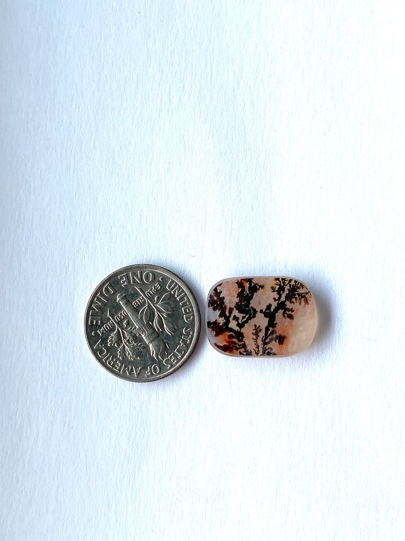 May include: A polished, rectangular gemstone with a dendritic pattern, next to a U.S. dime for size comparison. The gemstone features a cream-colored base with brown and black fern-like inclusions, creating a natural, artistic design.