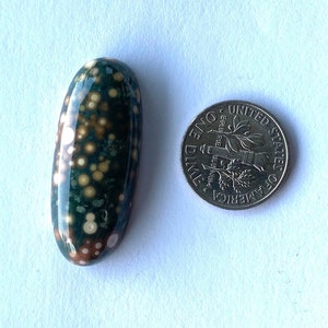 May include: A green, brown, and white ocean jasper cabochon with a polished surface. The cabochon is oval shaped and is about the size of a US dime.