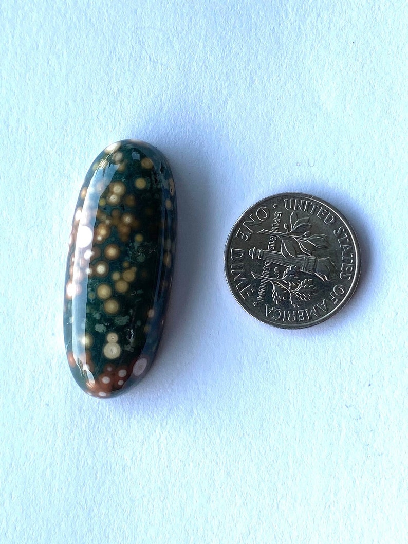 May include: A green, brown, and white ocean jasper cabochon with a polished surface. The cabochon is oval shaped and is about the size of a US dime.