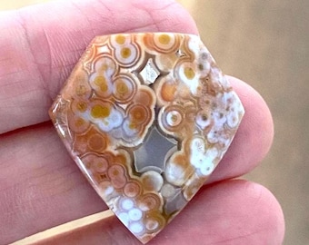 Ocean Jasper Cabochon, Orange and White Kite Shape, 30x28mm