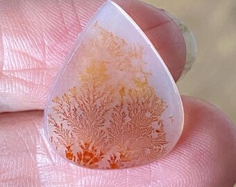 Teardrop Dendritic Agate Cabochon, Ombré Flowers, 22x18 mm