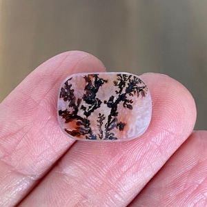 May include: A polished, rectangular gemstone with a dendritic pattern resembling a tree. The stone features a mix of colors, including white, brown, and black. The gemstone is held in a person's hand.
