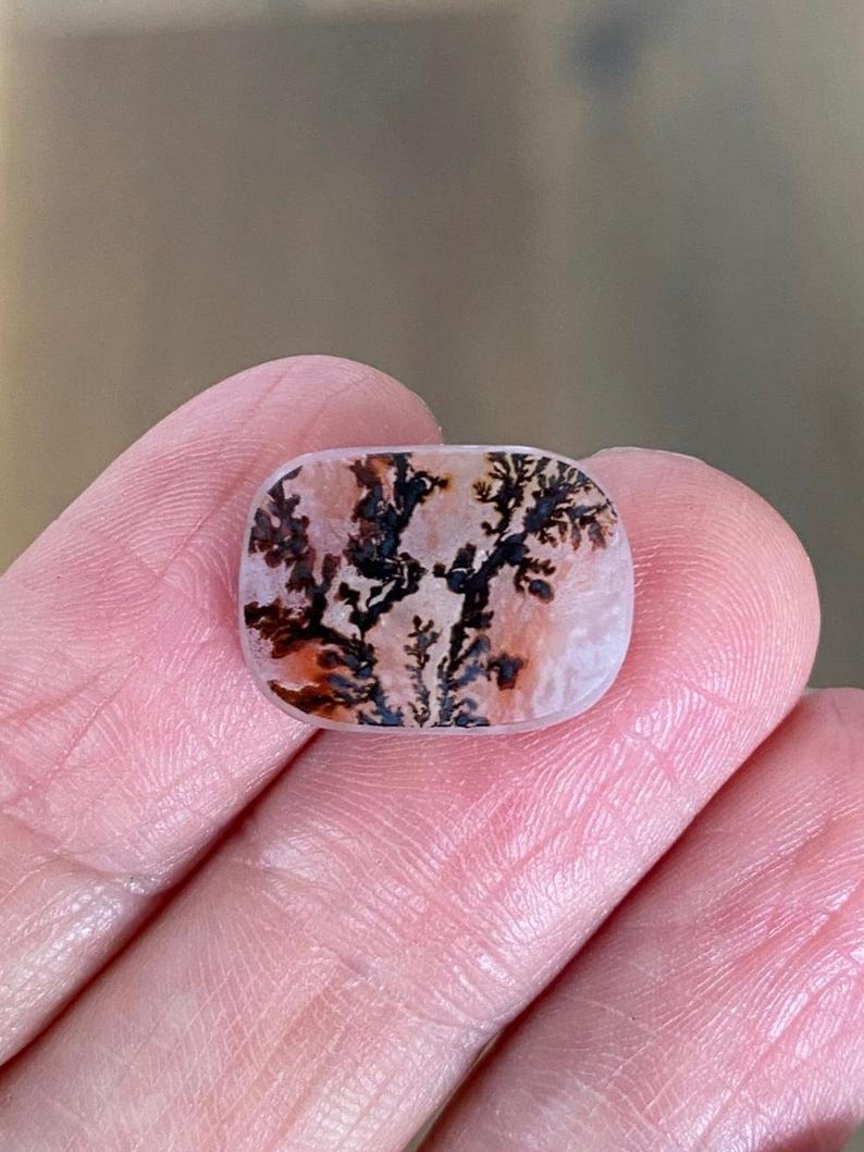 May include: A polished, rectangular gemstone with a dendritic pattern resembling a tree. The stone features a mix of colors, including white, brown, and black. The gemstone is held in a person's hand.