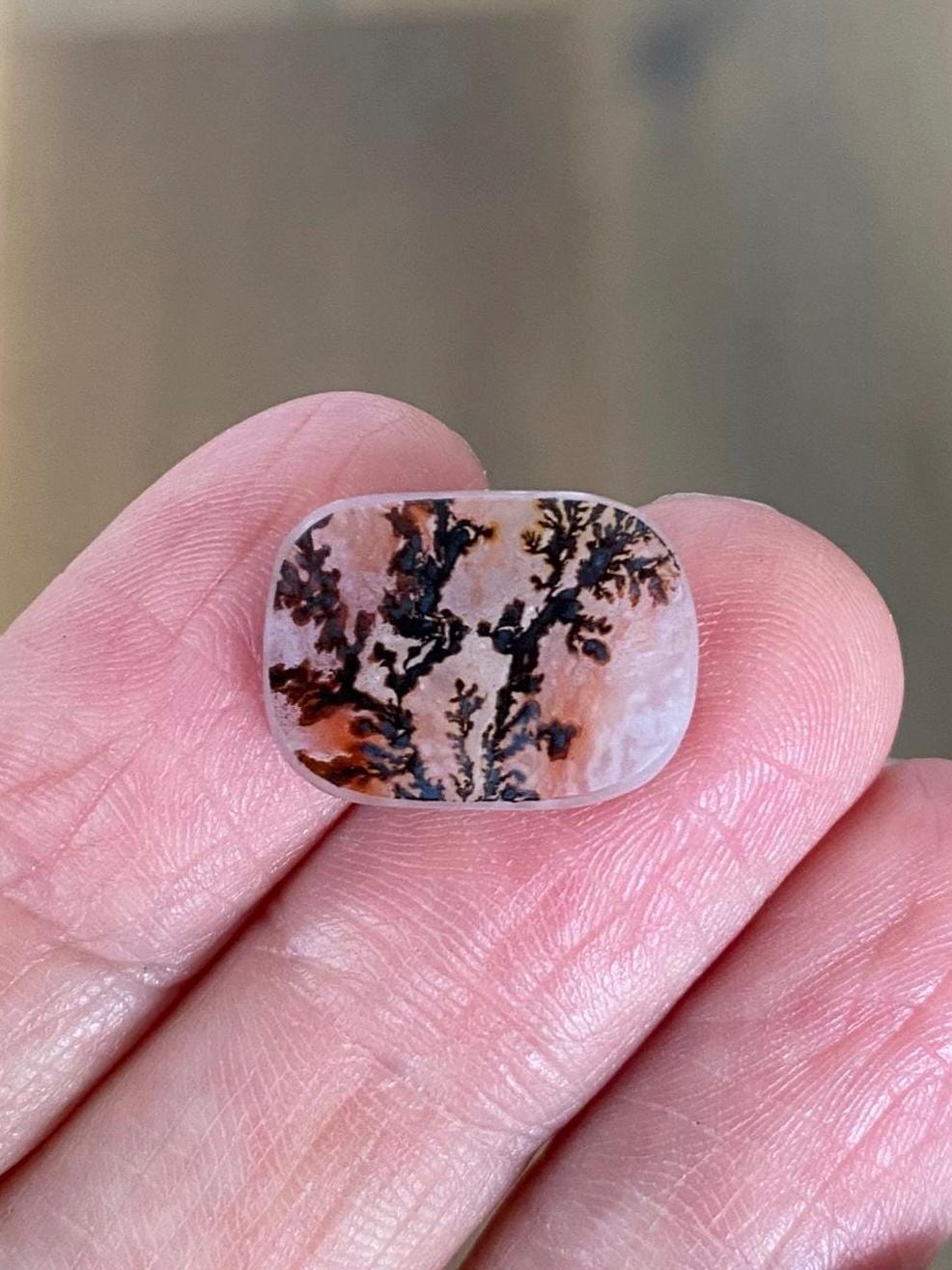 Rectangular Dendritic Agate Cabochon, Black and Red Flowers, Ring Size, 16x12mm