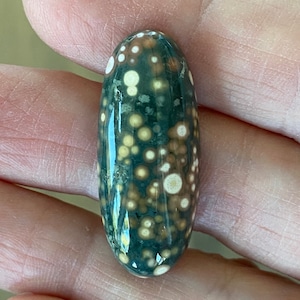 May include: A green, brown, and white oval-shaped ocean jasper stone with a polished surface and a pattern of small white and brown circles.