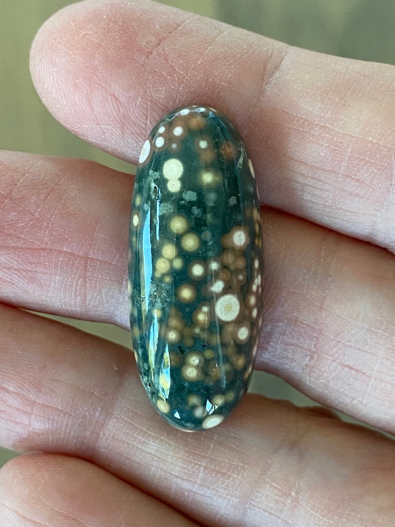May include: A green, brown, and white oval-shaped ocean jasper stone with a polished surface and a pattern of small white and brown circles.