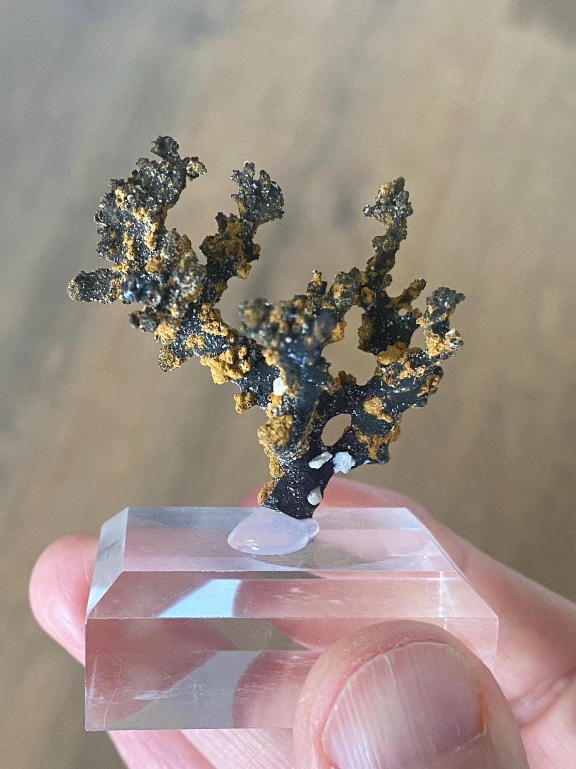 Romanechiet- en goethietdendrieten, mineraal exemplaar uit Hongarije: lijkt op een boom!