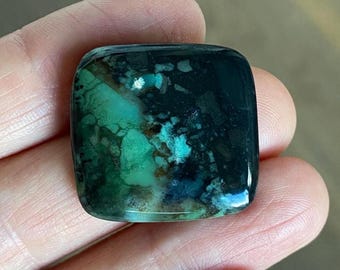 Contrasterende groene en zwarte cabochon van indo-opaalhout met dendrieten 26 x 25 mm