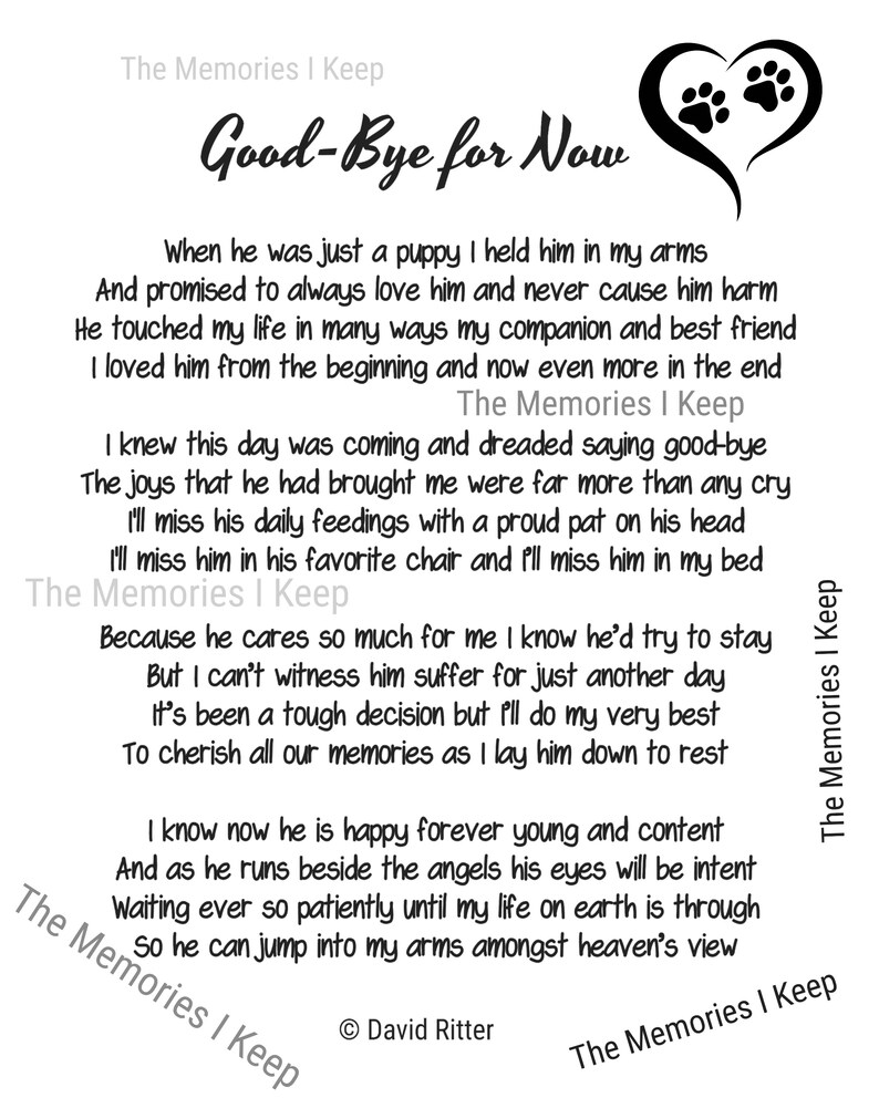 Pet Memorial Gift, Personalized Memorial, Picture Frame, Loss of Dog