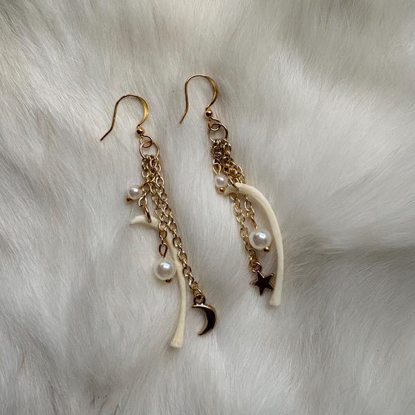 Superstar - Raccoon Rib Gold Earrings - Oddities and Curiosities