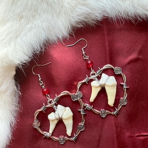 Bite Me - Gothic Real Coyote Teeth Earrings - Oddities and Curiosities