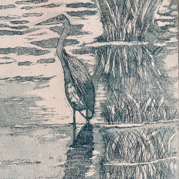Blue Heron, Original Etching print, handmade etching with aquatint, nature art print, SC artist, Lowcountry artist