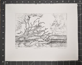 Original Copper Plate Etching: Hunting Island Storm Print