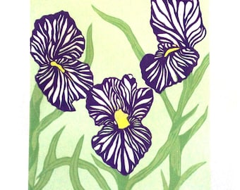 Zebra Striped Irises color linocut print with pastels added. Various colors. Varied Limited Edition