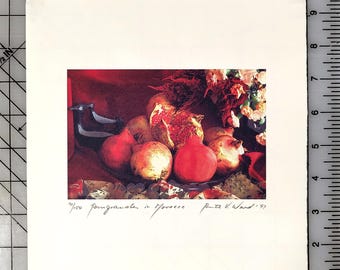 Vintage Pomegranates in Morocco Print: Ruth V. Ward Signed Digital Art, 1997
