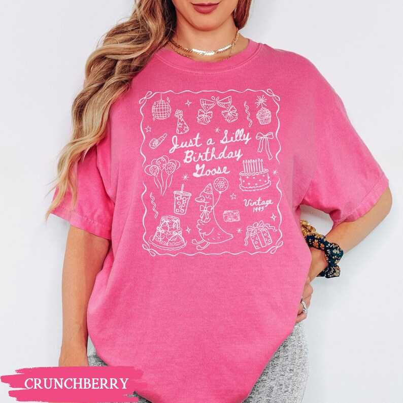 May include: A pink t-shirt with a white graphic that says "Just a Silly Birthday Goose" with birthday-themed illustrations. The shirt is a solid color and has short sleeves.
