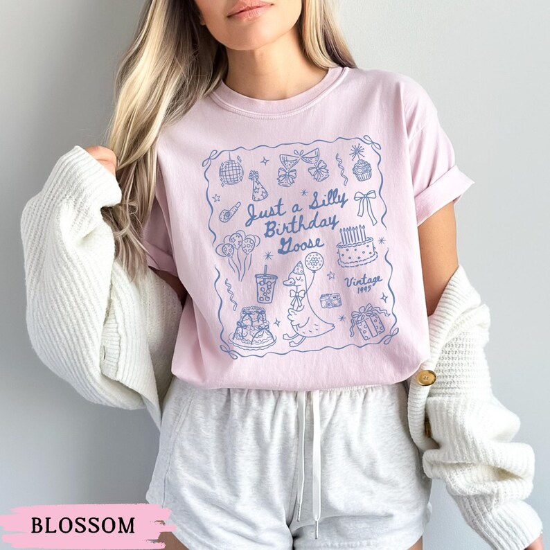 May include: A light pink t-shirt with a blue illustration featuring a goose, cake, and balloons. The text "Just a Silly Birthday Goose" is above the goose. The word "Vintage" and the year "1993" are also included.