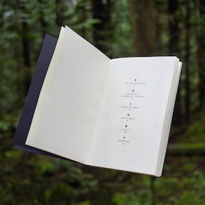 May include: An open book with a white cover and black text. The text includes "The Oracle Within", "Poetry as an Alchemical Process", "Visions in Verse", "How to Read", "Q and A", and "Keywords".